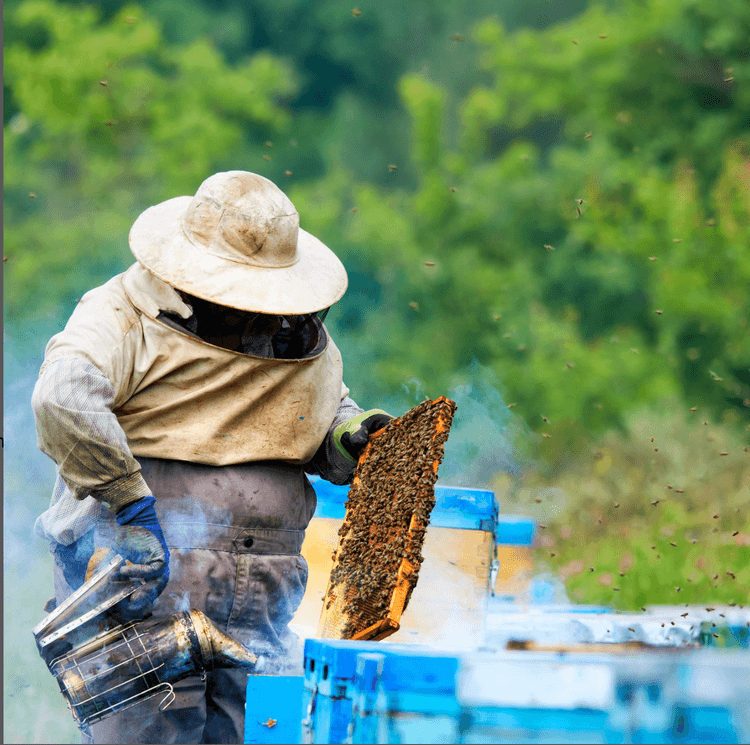 Νευροκόπι / τόπος ευζωίας!