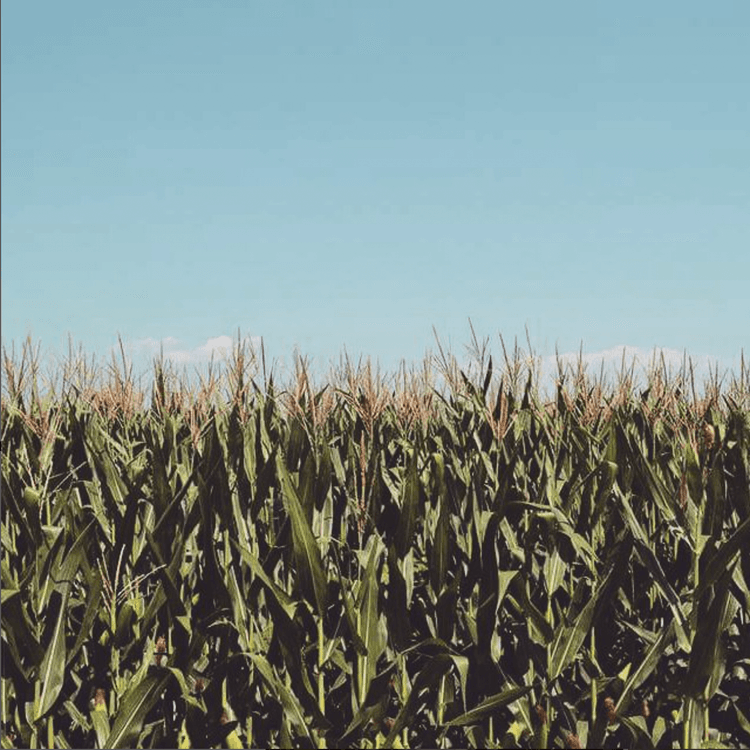 Νευροκόπι / ξεφεύγεις στη Φύση!